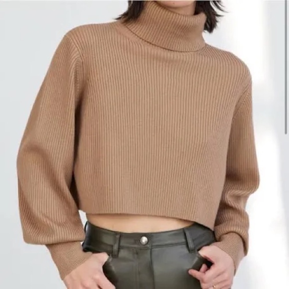 Aritzia Wilfred Rebecca Cropped Turtleneck Sweater Size Small